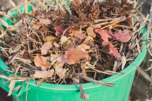 Yard Waste Removal for Shirley, Massachusetts